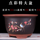 紫砂花盆大号兰花盆阳台种菜盆栽花卉特大号陶瓷花盆  馳爵 T004特大号 尺寸参照图片