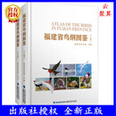 新书 福建省鸟纲图鉴 福建省林业局 编 收录福建省鸟类592种 野生动植物资源系列图鉴 保护自然 9787533568665 福建科学技术出版社