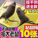 卫亮超强力粘鼠板花生味占大老鼠贴强力粘鼠板粘板加诱饵胶帖纸家用 10张装家庭装-抓大老鼠-DGS