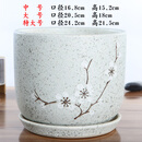 陶瓷花盆特大号加大欧式陶瓷绿萝办公室内桌面大花盆促销 181-白梅 特大