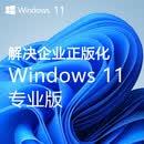 微软（Microsoft）win11，win10专业版office2024批量式商业授权企业正版化解决方案 win11专业版商业授权