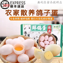 食怀【顺丰】朴园新鲜大个鸽子蛋土鸽蛋20-60枚散养鸽蛋礼盒 60枚豪华大号礼盒鸽蛋(均重23克) 顺丰(速度快)