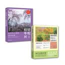 风景摄影：摄影构图、用光与色彩设计+轻松拍牛片：自然风光摄影速成秘籍
