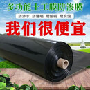 黑膜大棚膜防渗膜蓄水池HDPE土工膜藕池防渗水防暴酸碱耐腐蚀20丝 14米宽20丝一卷50米