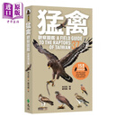 猛禽观察图鉴 全新增订版 港台原版 林文宏 远流出版