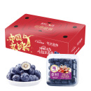 joyvio佳沃 当季云南精选蓝莓超大果18mm+ 4盒礼盒装 约125g/盒 生鲜 新鲜水果