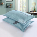 枕芯带枕套枕头单人学生宿舍简约可爱家用双人午睡小枕头 羽毛1枕芯加1枕套