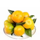 石门蜜桔1kg