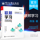 官方正版 联邦学习 面向数据安全和隐私保护机器学习学术成果和应用案例 数据孤岛数据保护难