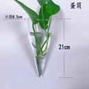 丛一楼墙壁花盆创意墙上挂壁挂墙花盆绿萝墙壁挂件悬挂式水培玻璃花瓶墙 蛋筒+配件(不含植物) 透明