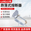 10-12kv户外高压跌落式熔断器NCX-15/200A BB变压器令克保险跌落开关 NCX-15F/200A