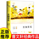 青铜葵花 曹文轩纯美小说摘选 小学生经典儿童文学名著故事书课外阅读书籍暑假阅读课外书 儿童节
