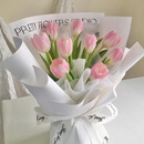 云南网红郁金香鲜切花基地直发，新鲜采摘，情人节求婚10*束。 浅粉色 A级 30cm-60cm不含