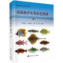 [按需印刷]南海海洋鱼类原色图谱（二）/陈国宝 科学出版社
