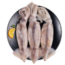 美加佳 鲜冻整只大鱿鱼（2-3只） 净重550g 整条鱿鱼 深海捕捞国产海鲜