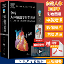 奈特人体解剖学彩色图谱 中英双语第7版 人民卫生出版社