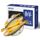 鲜京采 冷冻三去黄花鱼(宁德大黄鱼) 1.7kg (5条装)  生鲜鱼类 海鲜水产
