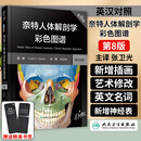 奈特人体解剖学彩色图谱 第8版 翻译新版临床医学外科学教材书系统局部解刨学解破学书籍人卫图鉴正常医学全彩格氏耐特基础法医 特基础法医