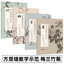 方楚雄教学示范 梅兰竹菊 全4册 范画技法剖析全面与系统地展现梅兰竹菊的作画技法从梅兰竹菊学国画四君子画法 岭南美术出版社 方楚雄教学示范：梅兰竹菊【全4册】