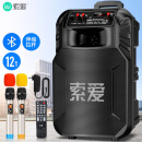 索爱（soaiy）SA-T25广场舞音响大功率低音炮移动便携式户外K歌蓝牙拉杆麦克风音箱扩音器无线话筒摆摊喇叭