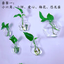 丛一楼墙壁花盆创意墙上挂壁挂墙花盆绿萝墙壁挂件悬挂式水培玻璃花瓶墙 套餐一+配件(不含植物) 透明