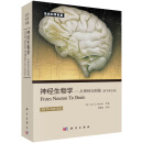 神经生物学：从神经元到脑（原书第5版）/神经生物/神经科学/神经元/脑科学/脑/生命科学名著/神经生物学领域的世界级名著。