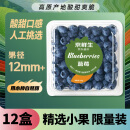 京鲜生 国产蓝莓 12盒装 果径12mm+ 新鲜水果 源头直发包邮