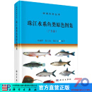 [按需印刷]珠江水系鱼类原色图集(广东段)/李新辉，陈方灿，梁沛文