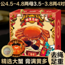 【活蟹】漁家师傅大闸蟹公4.5-4.8两母3.5-3.8两4对8只去绳足重鲜活螃蟹生鲜水产礼盒