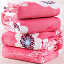 法兰绒毛毯盖被四季毛毯加绒加厚盖毯两用单双人毛毯学生宿舍 盛世年华亲肤柔软 200*230cm加大双人毯