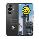 华为nova 12活力版 后置5000万像素定制防爆手机 化工厂医药EX工业天然气防爆 定制防爆手机（带证书） 8+256GB