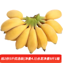 梦芷广西小米蕉新鲜香蕉酸甜小香蕉应季水果现摘青色(催熟食用)带箱 5斤 优选装