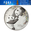 华泉钱币 2023年熊猫银币纪念币 30克银币 单枚 （现货）1公斤熊猫银币