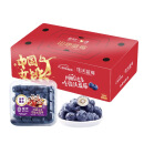 Joyvio佳沃 当季云南蓝莓 4盒装 125g/盒 生鲜 新鲜水果