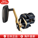 达亿瓦（DAIWA）鱼轮21款赛尔迪迦Saltiga IC300慢摇铁板轮数显轮海钓轮 日本直邮 IC300H-SJ右手