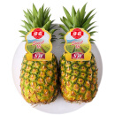 佳农菲律宾进口菠萝2个装 大果 单果重1.4kg起  凤梨 新鲜水果
