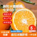 湖南正宗湘西橙子 甜蜜多汁 果园现发 新鲜优质橙子 冰糖脐橙5斤55mm起