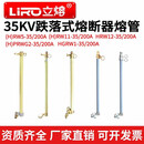 35kv跌落式熔断器熔管HPRWG2防风型跌落开关HGRW1-35/200A保险管RW5-11-12 HGRW1-35/200A防风型长款 型号