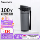 特百惠（Tupperware）教师节礼物茶韵塑料杯 学生夏季运动水杯子大容量 酷炫黑500ML