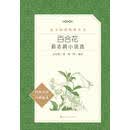 百合花：茹志鹃小说选