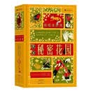 儿童节 秘密花园童书  图书儿童节礼物
