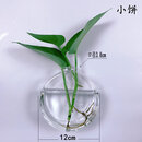 丛一楼墙壁花盆创意墙上挂壁挂墙花盆绿萝墙壁挂件悬挂式水培玻璃花瓶墙 小饼+配件(不含植物) 透明