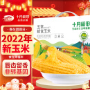 十月稻田 五常鲜食糯玉米 北纬 45° 2.2kg(220g*10) 22年新玉米 甜糯 轻食