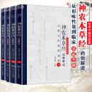 神农本草经药物解读——从形味性效到临床壹贰叁肆1234四本套装 名老中医讲经典 祝之友 人民卫生出版社