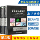 麦基皮肤病理学 与临床的联系 第四4版 朱学骏 孙建方 皮肤科医学书皮肤病书籍大全 北京大学医学出版