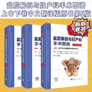 【2023第5版精装】盆腔解剖与妇产科手术图谱上中下卷中文翻译版原书第5版迈克尔.S.巴吉胥等编妇产科手术医学图谱书籍 盆腔解剖与妇产科手术图谱第5版上中下卷