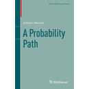 现货 概率论入门 A Probability Path 英文原版