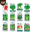 北蔬 秋冬季种子白菜生菜小香葱西红柿芹菜四季种籽 12种蔬菜种子套餐