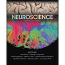 现货 Neuroscience (6TH ed.) 精装英文原版  神经科学第六版