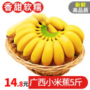 寻味君 广西 香蕉 小米蕉 新鲜水果 5斤装